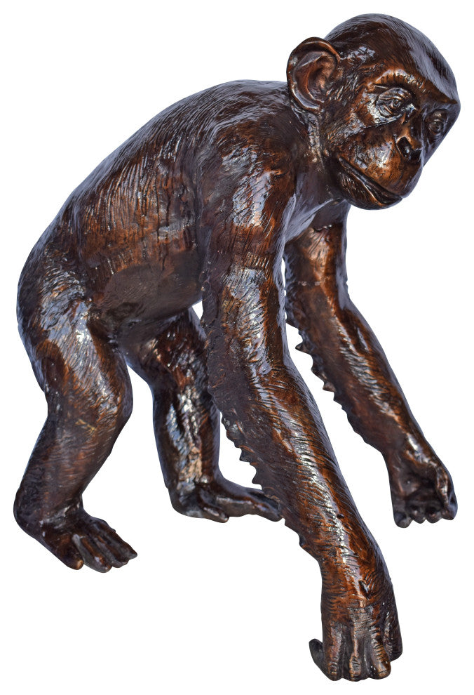 Chimpanzee Standing and Looking around Bronze Statue - Size: 24" x 20" x 28"H