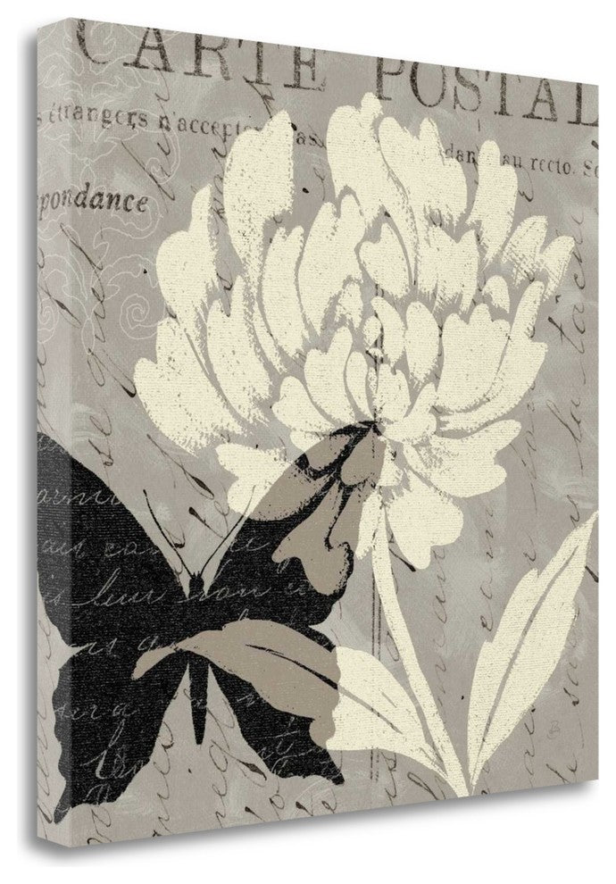 "Natural Prints I" By Daphne Brissonnet, Giclee Print on Gallery Wrap Canvas
