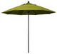 9' Bronze Push Lift Fiberglass Rib Aluminum Umbrella, Olefin, Kiwi