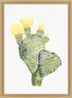 Yellow Blooming Cacti 5