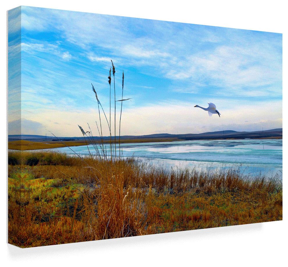 "Wild Nature 2" by Ata Alishahi, Canvas Art, 22"x32"