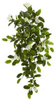 19" Mixed Stephanotis and Ivy Hanging Artificial Plant, Set of 4