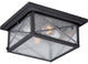 Nuvo 2-Light Incandescent Wingate Outdoor Light Fixture, Textured Black