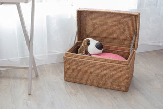 Artifacts Rattan™ Rectangular Hinged Chest/Trunk, Honey Brown, Small