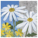 "Summer Garden II Silver" Digital Paper Print by Kathrine Lovell, 32"x32"