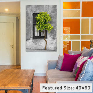 Tree in Front of Window Green Pop Color Pop by Panoramic Images