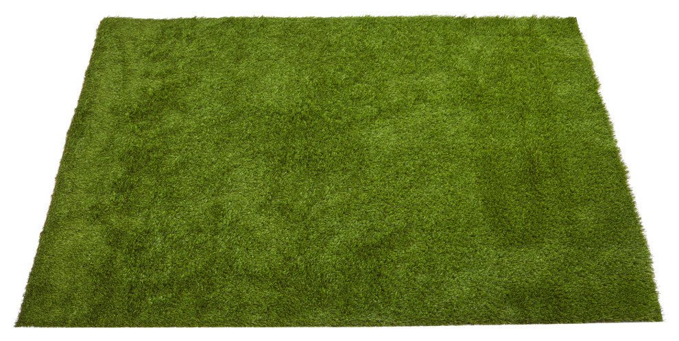6ï¿½ x 8ï¿½ Artificial Professional Grass Turf Carpet UV Resistant (Indoor/Outdoor)