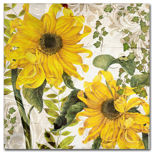 Color Bakery 'Carina I' Canvas Art, 35x35