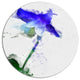 Blue Bellflower Sketch Watercolor, Floral Round Metal Wall Art, 23"