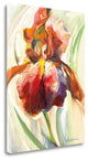 "Colors Of Iris II" By Maria Zielinska, Giclee Print on Gallery Wrap Canvas