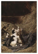 "Kittens in the Hay" Digital Paper Print by Julius Adam, 27"x38"