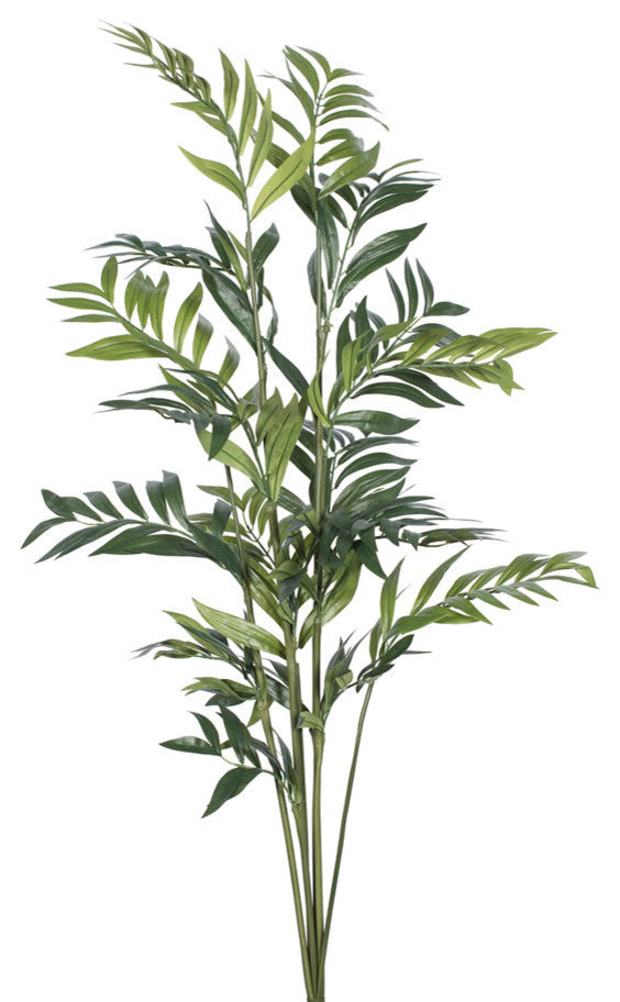 4' Parlour Palm W/261 Lvs.-Green