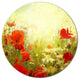 Grunge Background With Red Poppies, Floral Disc Metal Artwork, 11"