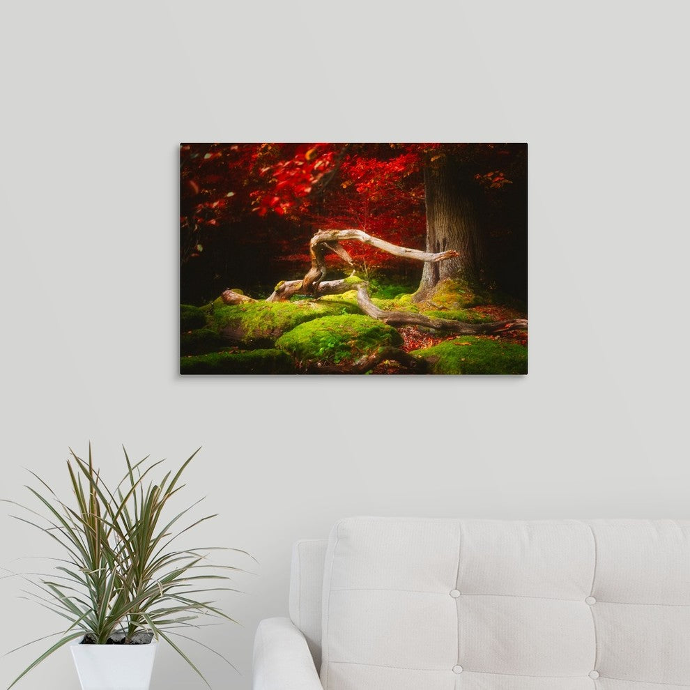 "The Beauty of Silence" Wrapped Canvas Art Print, 24"x16"x1.5"