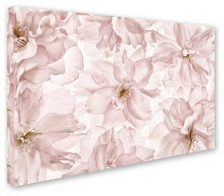 Cora Niele 'Translucent Cherry Blossom' Canvas Art