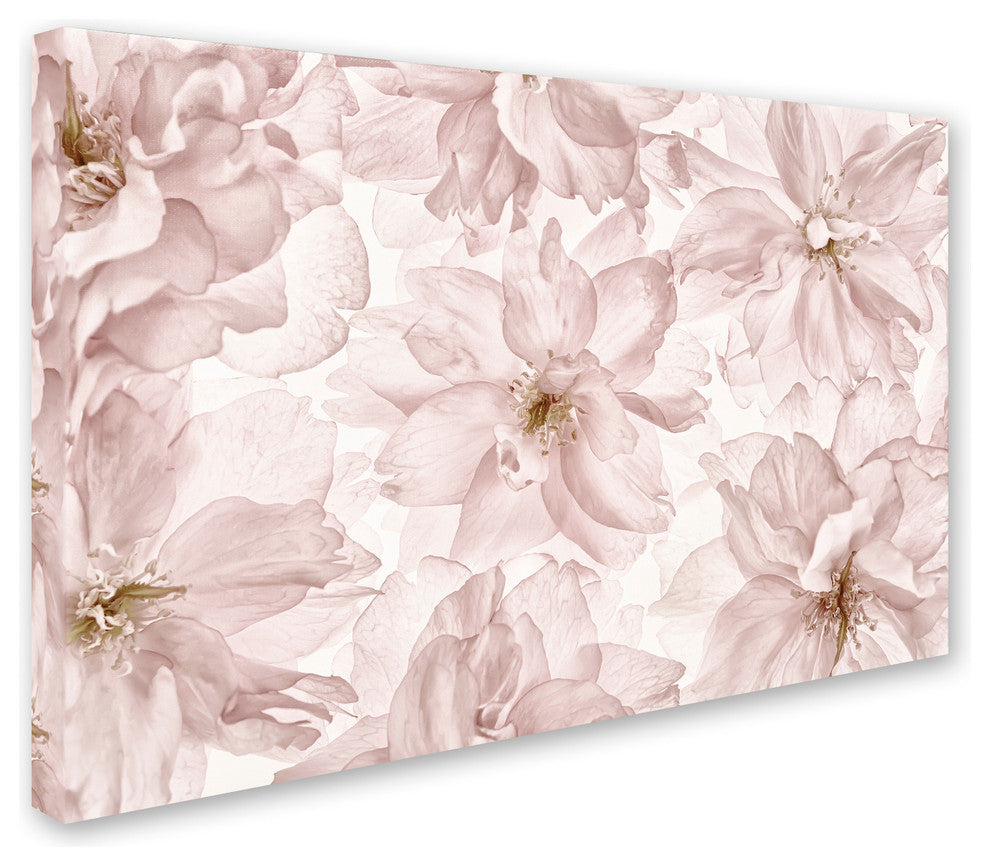 Cora Niele 'Translucent Cherry Blossom' Canvas Art