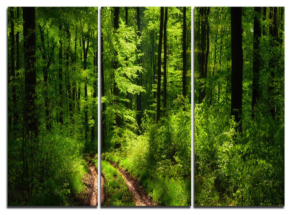 "Fascinating Greenery in Wild Forest" Forest Metal Wall Art, 3 Panels, 36"x28"