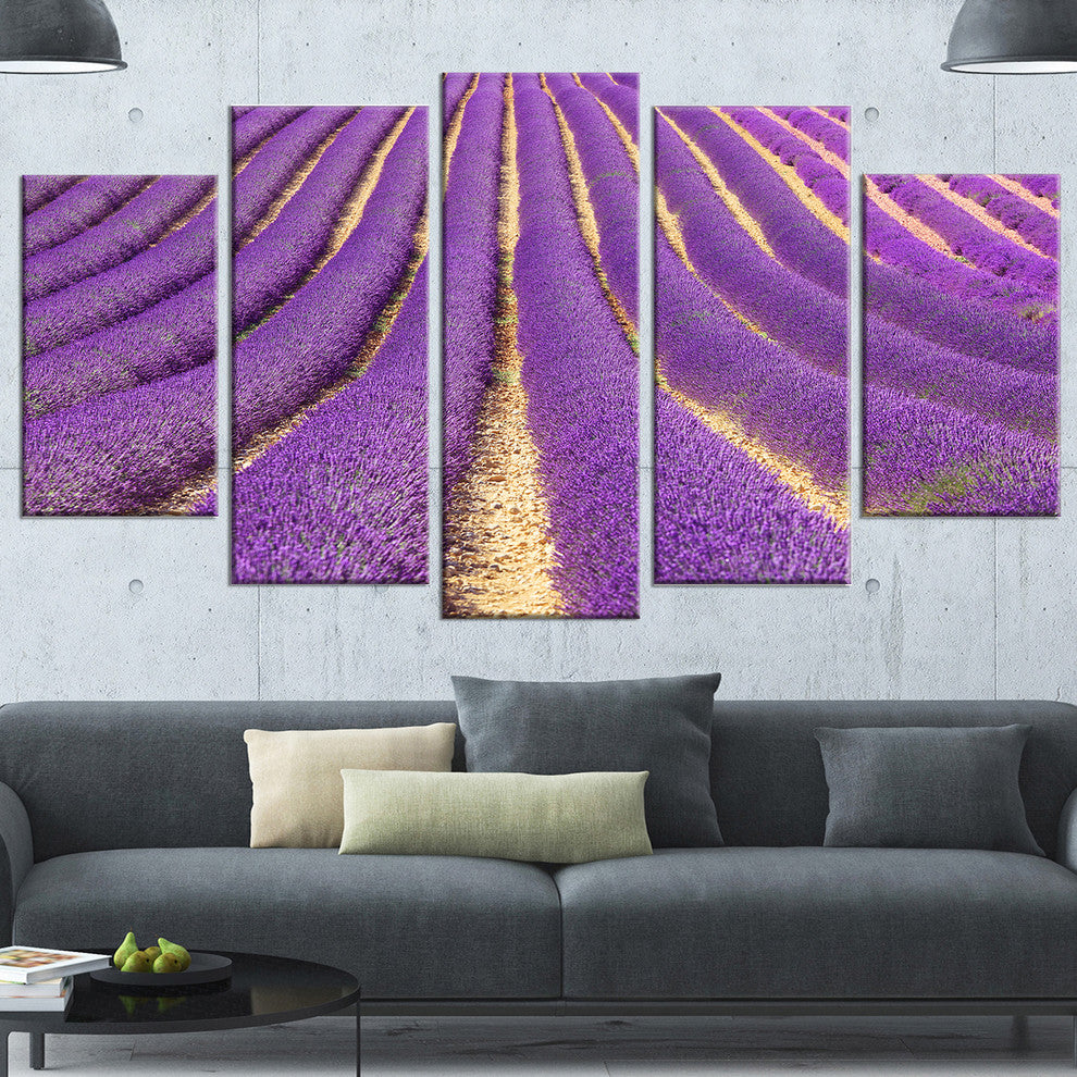 Beautiful Pattern of Blooming Lavender, Flower Canvas Print, 60"x32", 5 Panels