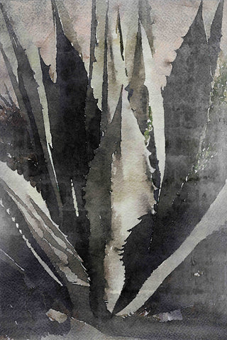 "Desert Giant 2" Print on Canvas by Irena Orlov