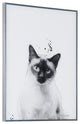 "Siamese" Black and White Cat Wall Art With Gunmetal Anodized Frame