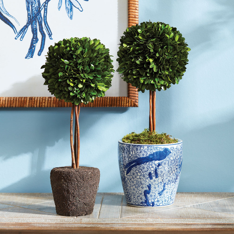 Boxwood Single Sphere Topiary Drop-In, 16"