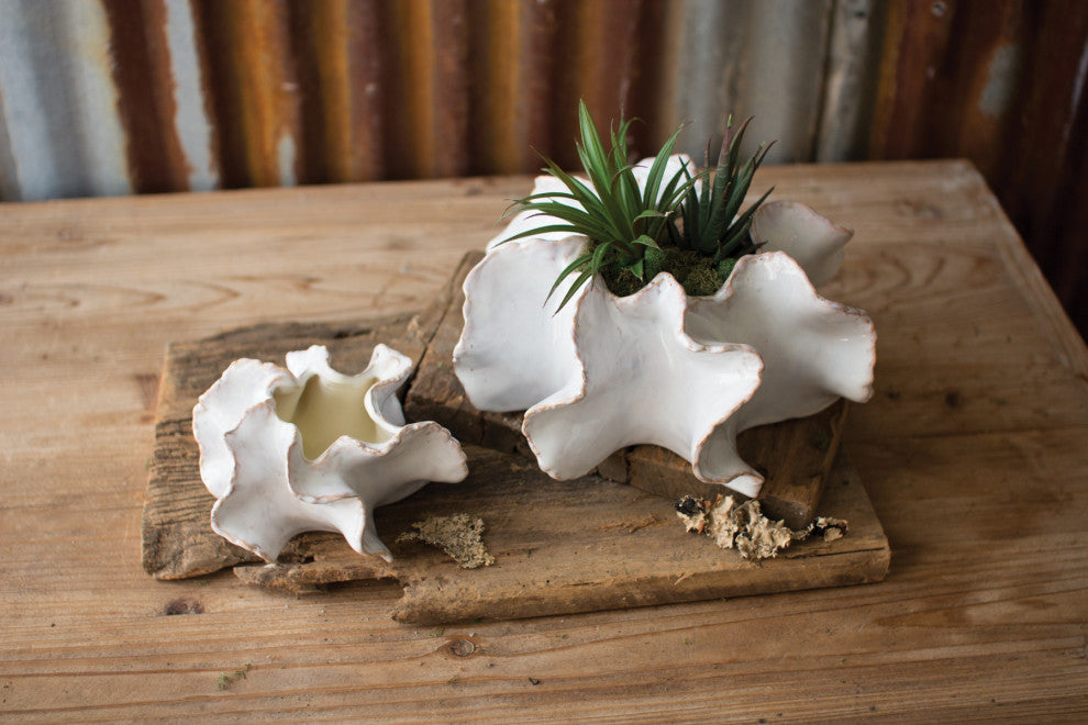 Wavy Shaped Organic White Ceramic Succulent Planters, 2-Piece Set