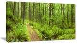"Lush Forest Path Columbia River" Forest Wall Art Print, 32"x16"