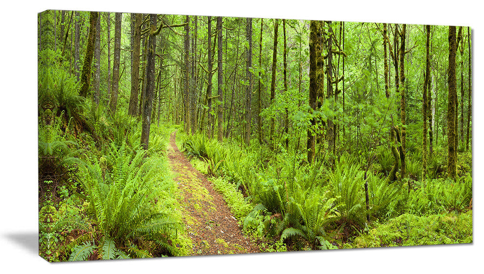 "Lush Forest Path Columbia River" Forest Wall Art Print, 32"x16"