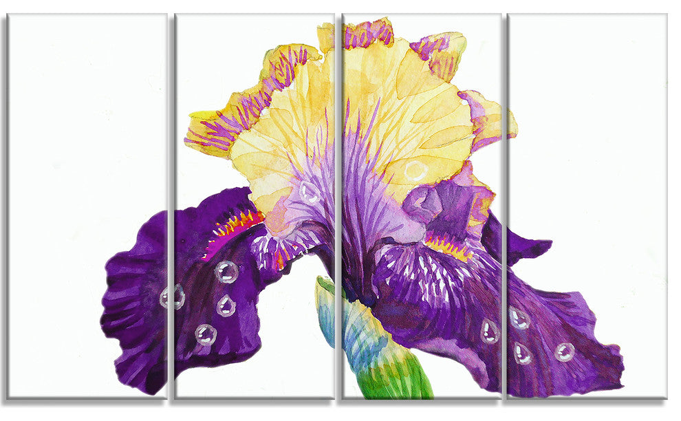 Blooming Blue Yellow Iris, Floral Canvas Art print, 48"x28", 4 Panels