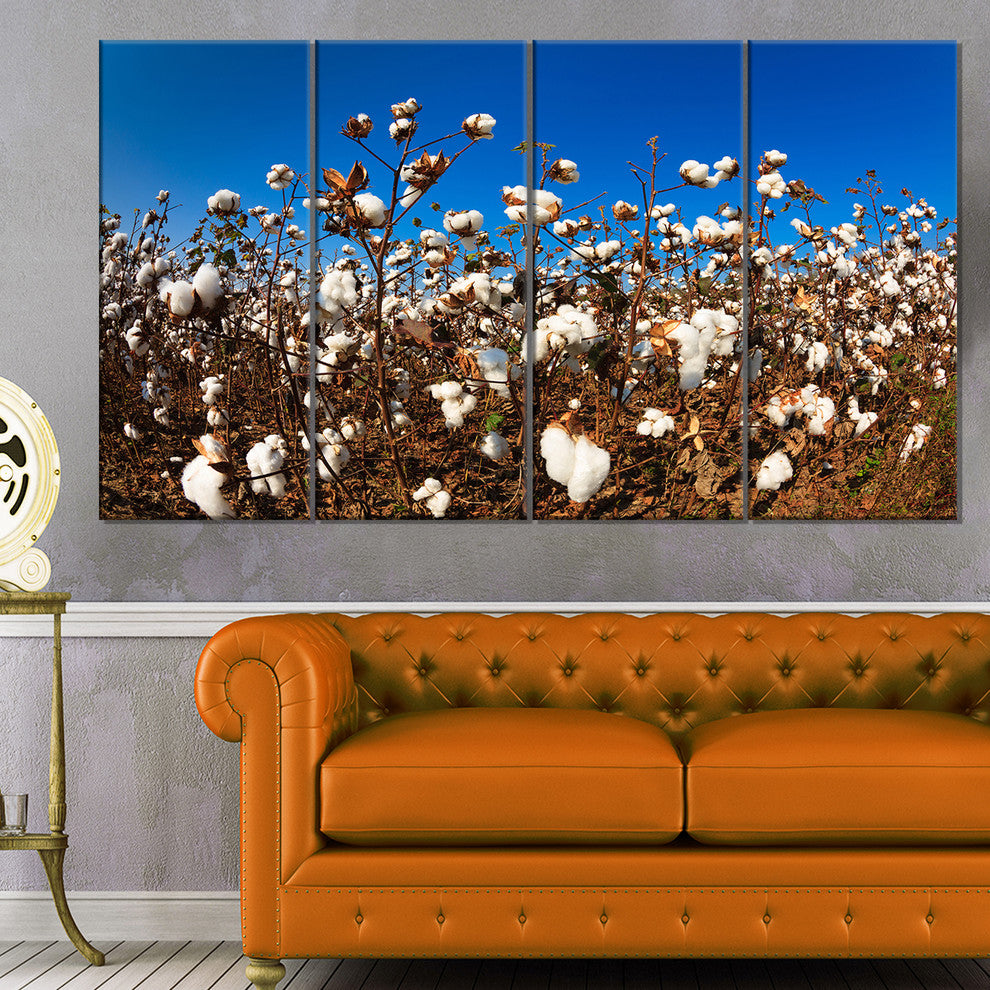 Blooming Alabama Cotton Field, Large Landscape Canvas Art, 48"x28", 4 Panels