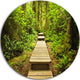 Path In Temperate Rainforest, Landscape Photo Round Wall Art, 11"