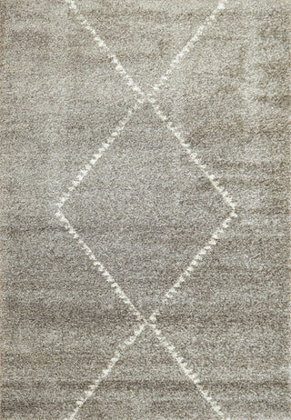 Mehari Gray Area Rug, 2'x3.11'