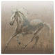 "Stallion II on Leather" Digital Paper Print by James Wiens, 42"x42"