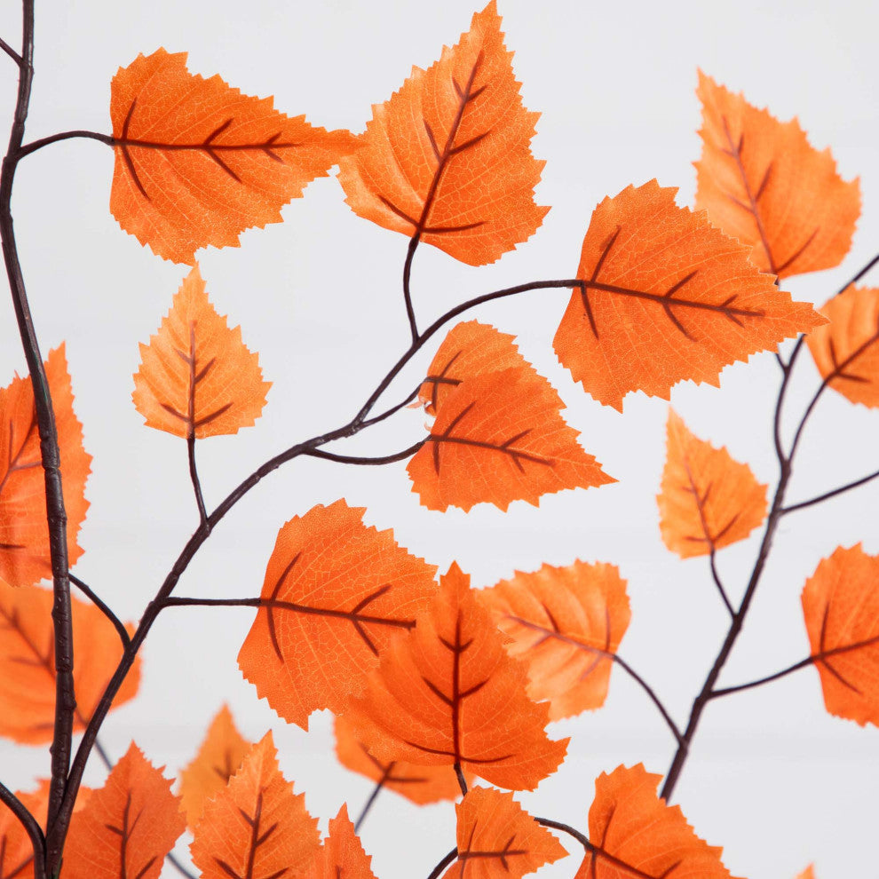 White background, cropped close-up of orange leaves.