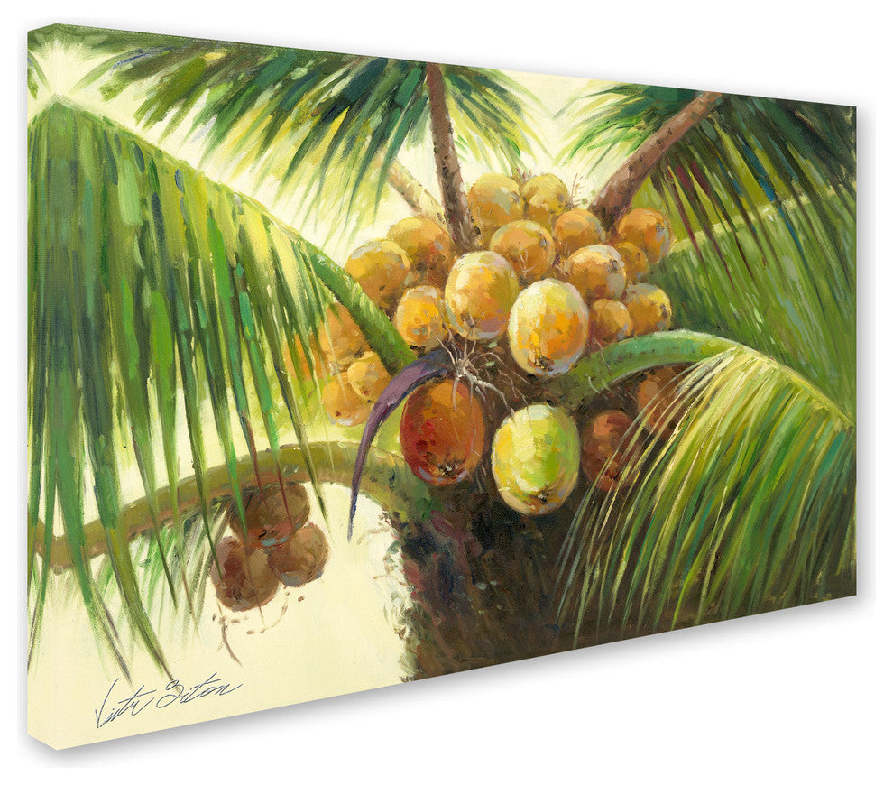 'Coconut Palm II' Canvas Art by Victor Giton
