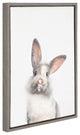 Sylvie M Baby Bunny Rabbit Animal Print Framed Canvas by Amy Peterson, 18x24