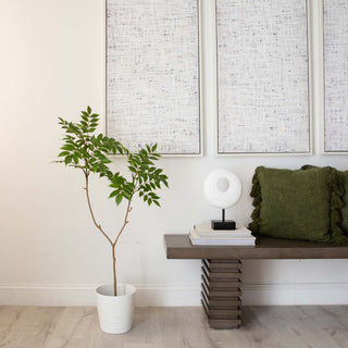 Lifestyle image: real-room environment with plant and furniture.