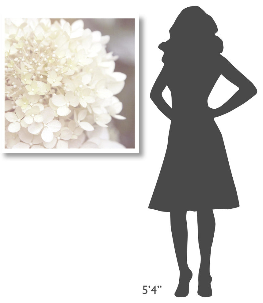 "Hydrangea Dream I" Digital Paper Print by Laura Marshall, 32"x32"