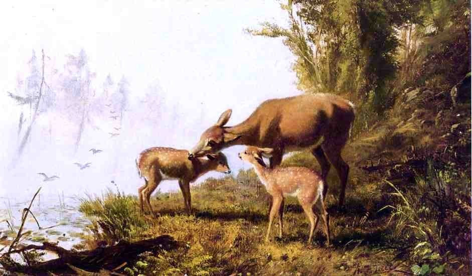 Arthur Fitzwilliam Tait Deer in the Woods, 18"x27" Wall Decal