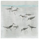 "Sandpipers Gray" Digital Paper Print by Avery Tillmon, 26"x26"