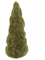 15.5" Moss Cone Stand, Pack 6