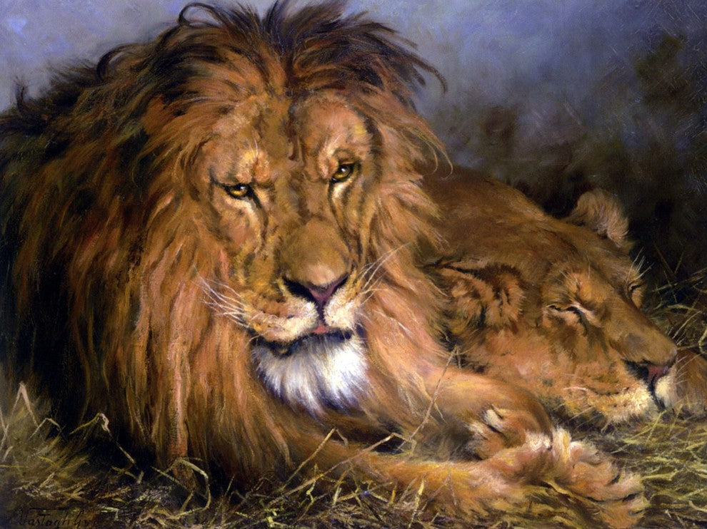 Tile Mural A Lion and A Lioness By Geza Vastagh Hungarian, 6"x8", Matte