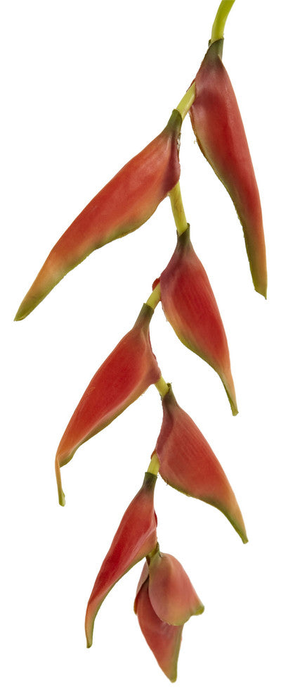 31" Hanging Heliconia Artificial Flower, Set of 4