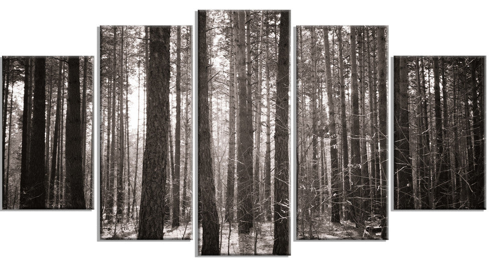 Beautiful Misty Forest in the Autumn, Forest Canvas Art Print, 60"x32", 5 Panels