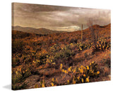 "Desert Sunset" Painting Print on Canvas by Robertson