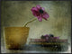 "A Day To Stay At Home" Framed Canvas Giclee by Delphine Devos, 33x25"