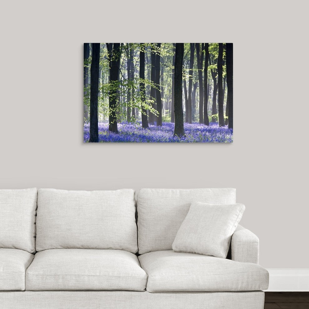 "Bluebell Vision" Wrapped Canvas Art Print, 36"x24"x1.5"