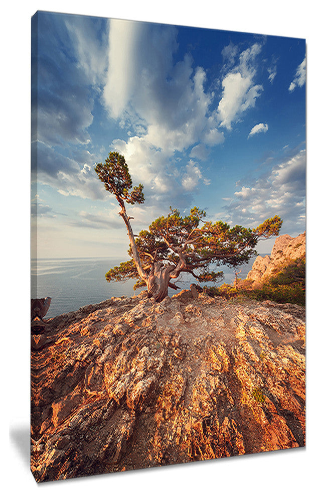 "Sunrise With Old Tree at Peak" Landscape Photo Wall Art, 16"x32"