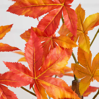 Close-up of maple leaves on a clean white background; cropped view.