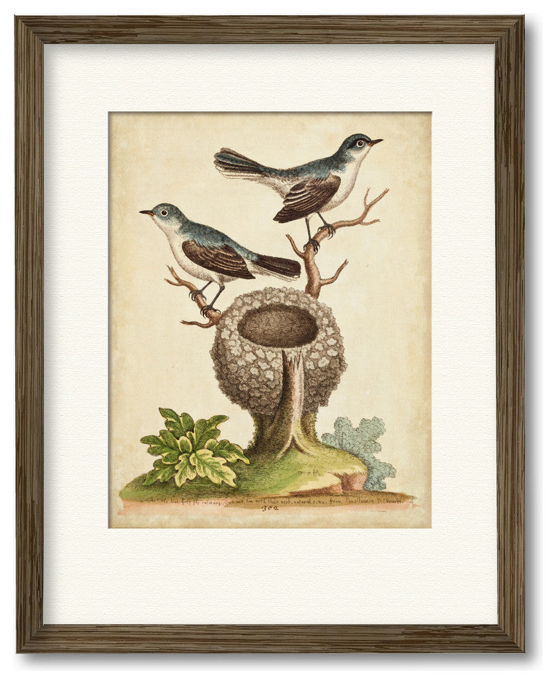 "Natural Habitat II" Gallery Collection Framed Art, 16"x20"